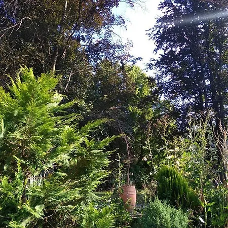 Sci Fleury Appartement *